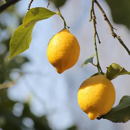 Διαμέρισμα By The Sea Drvenik Veliki, Drvenik - 10346 Veliki Drvenik