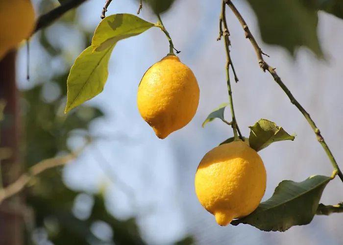 Διαμέρισμα By The Sea Drvenik Veliki, Drvenik - 10346 Veliki Drvenik